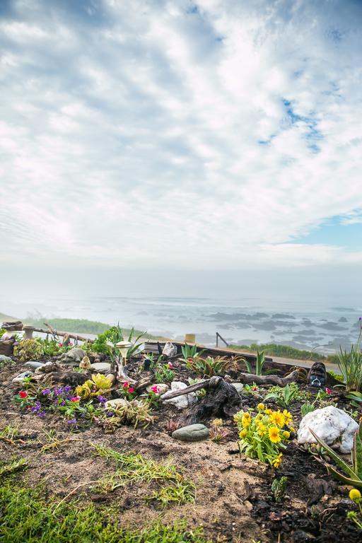 Murphys Port Elizabeth Dış mekan fotoğraf